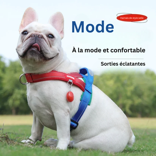 Poitrine et dos de selle pour animal de compagnie réfléchissants et antidéflagrants