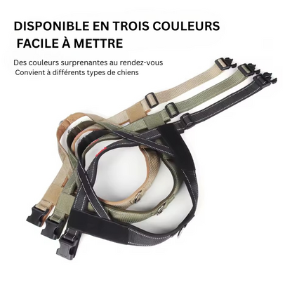 Kit Signature & Laisses