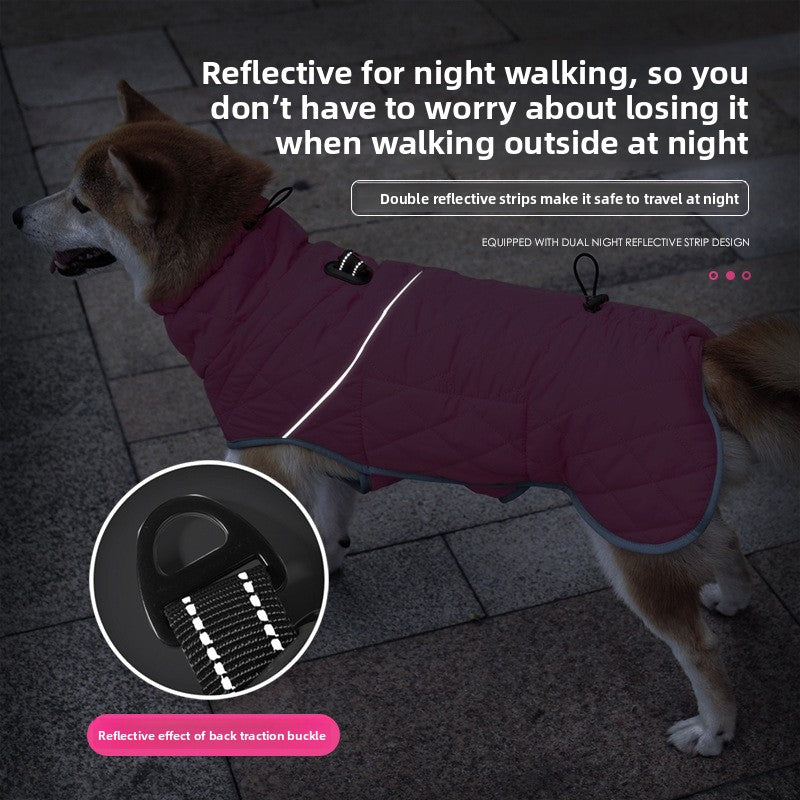 Winter dog coat with waterproof and padded lining