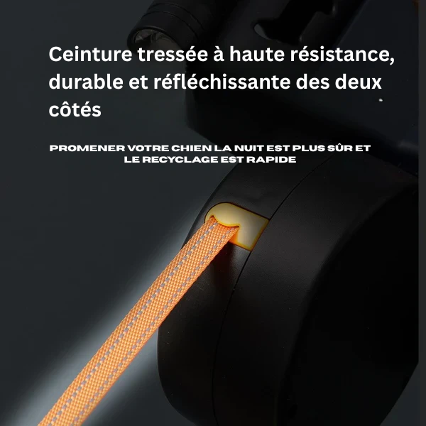 Laisse automatique rétractable pour promener les chiens