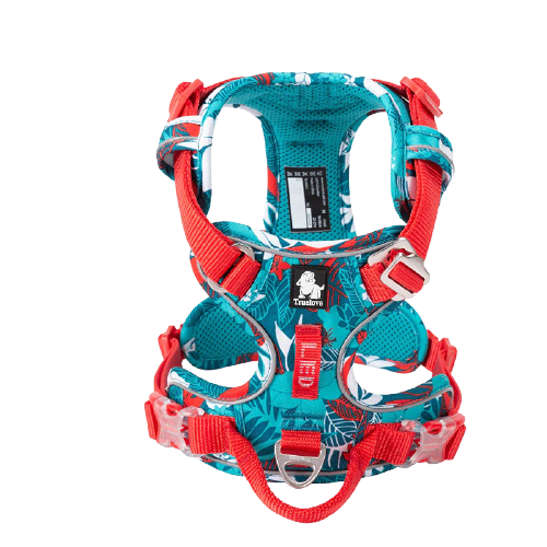 Harnais pour chien Truelove