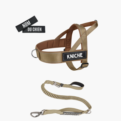 Kit Signature & Laisses