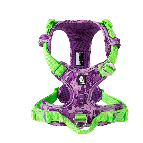 Harnais pour chien Truelove
