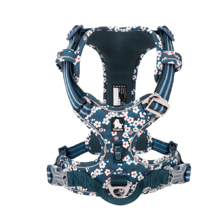 Harnais pour chien Truelove
