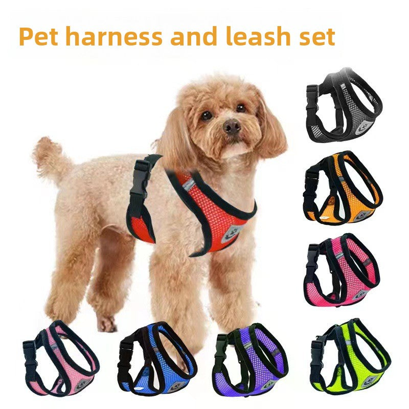 Vêtements pour laisse et collier de chien