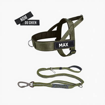 Kit Signature & Laisses