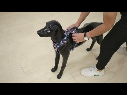 Harnais pour chien Truelove